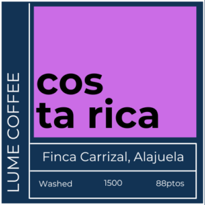 cafe especialidad costa rica carrizal.