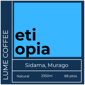 cafe especialidad etiopia sidama natural