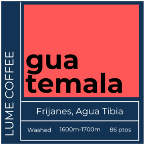 cafe especialidad guatemala frijanes
