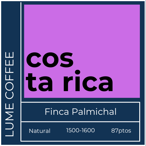 Costa Rica - Finca Palmichal